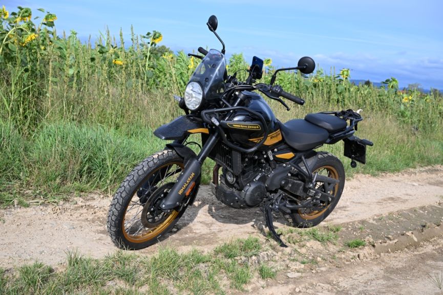 Royal Enfield Himalayan vor einem Sonnenblumenfeld.